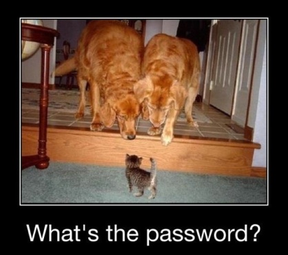 What's The Password?